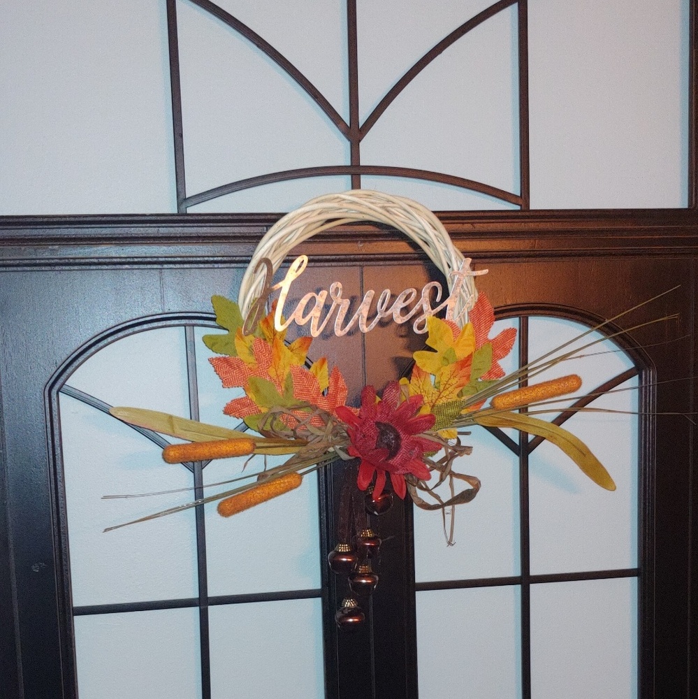 One of a kind mini Willow Wreath